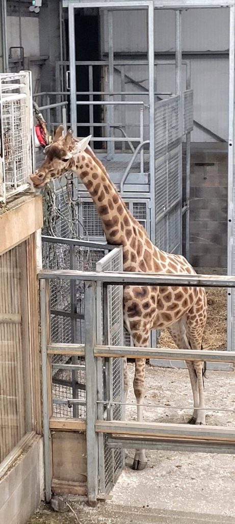 Blackpool Zoo ‘Treat Trip